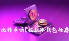 冷钱包能存储半个比特币吗？揭秘冷钱包的存储