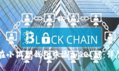 如何在小狐狸钱包中添加SOL链：详尽指南