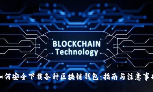 如何安全下载各种区块链钱包：指南与注意事项