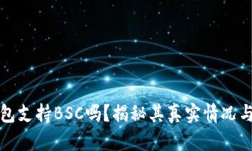 小狐狸钱包支持BSC吗？揭秘其真实情况与操作指南