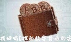 小狐狸币丢了能找回吗？探秘数字货币的安全性