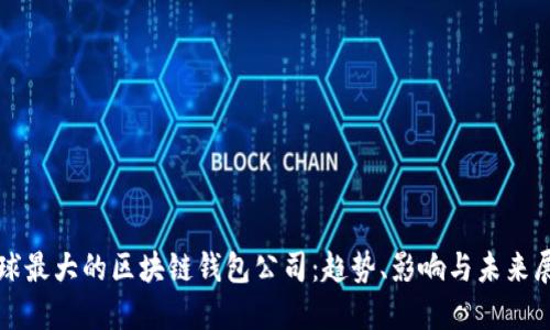 全球最大的区块链钱包公司：趋势、影响与未来展望