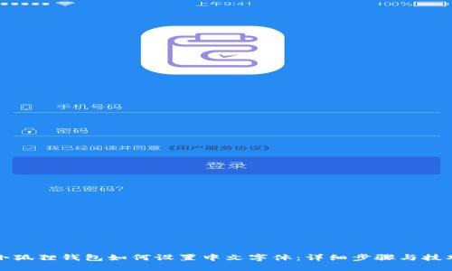 小狐狸钱包如何设置中文字体：详细步骤与技巧