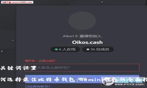 与关键词设置

如何选择最佳比特币钱包：Gemini钱包的全面指南