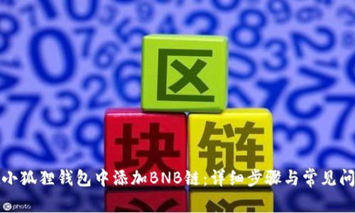 如何在小狐狸钱包中添加BNB链：详细步骤与常见问题解答