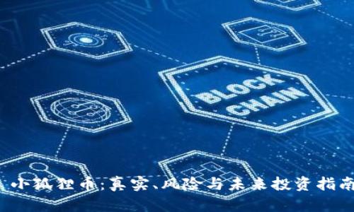  小狐狸币：真实、风险与未来投资指南