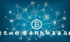 探索巴比特：零币钱包的未来与挑战