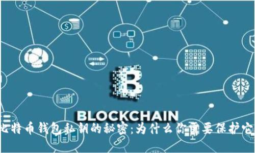 比特币钱包私钥的秘密：为什么你需要保护它？