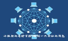 小狐狸的奇妙冒险：捡到一只神秘的钱包