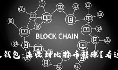 比太钱包：未收到比特币转账？看这里！