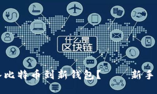 如何安全导入比特币到新钱包？——新手必看操作指南