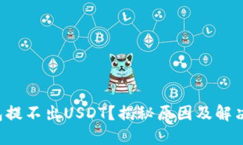 TP钱包提不出USDT？揭秘原因及解决方案！
