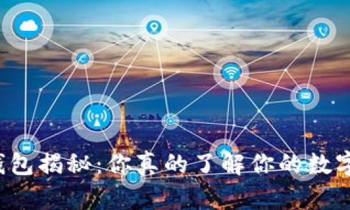 比特币钱包揭秘：你真的了解你的数字资产吗？