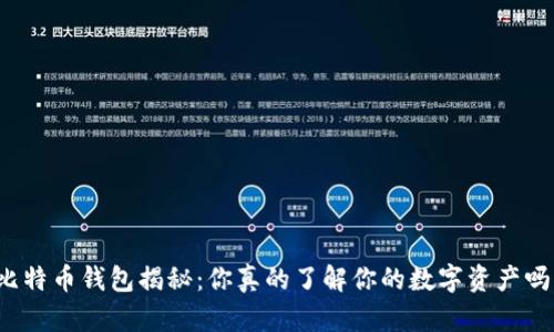 比特币钱包揭秘：你真的了解你的数字资产吗？