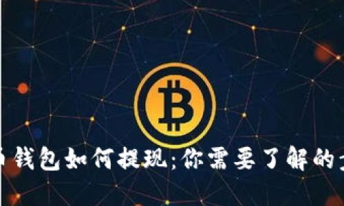 如今比特币钱包如何提现：你需要了解的步骤与诀窍