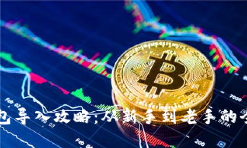 比特币钱包导入攻略：从新手到老手的全方位指南