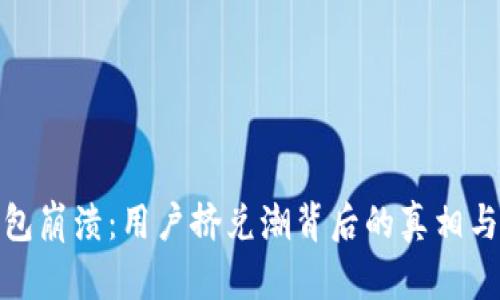 小狐狸钱包崩溃：用户挤兑潮背后的真相与应对策略