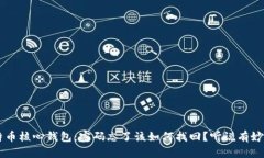 比特币核心钱包：密码忘了该如何找回？听说有