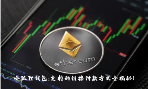 小狐狸钱包：支持的链接付款方式全揭秘！