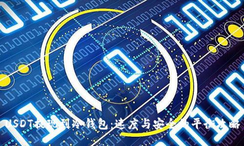 USDT提现到冷钱包：速度与安全的平衡攻略
