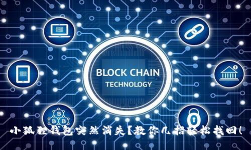 小狐狸钱包突然消失？教你几招轻松找回！