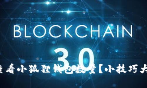 如何查看小狐狸钱包数量？小技巧大曝光！