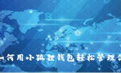 小狐狸钱包：如何用小狐狸钱包轻松管理你的数