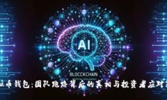 虚拟币钱包：团队跑路背后的真相与投资者应对