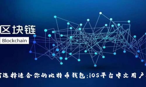 如何选择适合你的比特币钱包：iOS平台中文用户指南