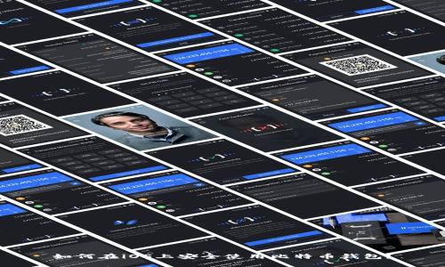 如何在iOS上安全使用比特币钱包？