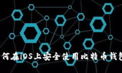 如何在iOS上安全使用比特币钱包？