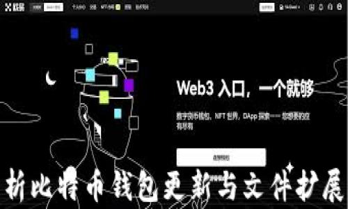 
全面解析比特币钱包更新与文件扩展的影响