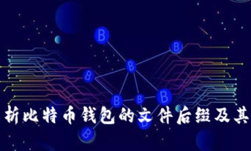 全面解析比特币钱包的文件后缀及其重要性