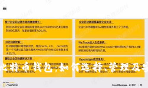 深入了解比特币钱包：如何选择、管理及安全性分析