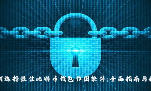 如何选择最佳比特币钱包作图软件：全面指南与推荐