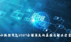 小狐狸钱包USDT余额消失的原因及解决方案
