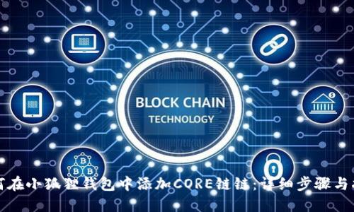 如何在小狐狸钱包中添加CORE链链：详细步骤与指南