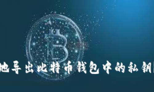 如何安全地导出比特币钱包中的私钥？详尽指南