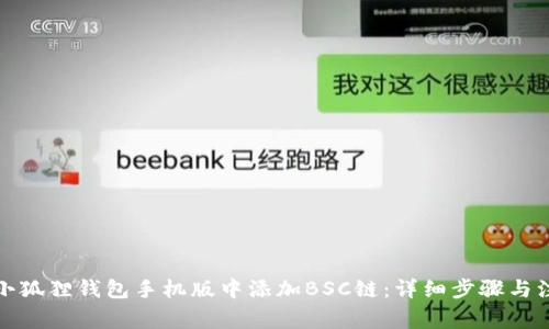 如何在小狐狸钱包手机版中添加BSC链：详细步骤与注意事项