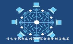  什么冷钱包支持USDT？全面分析与推荐
