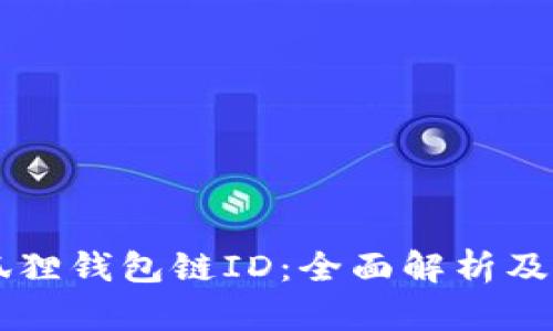 关于小狐狸钱包链ID：全面解析及使用指南