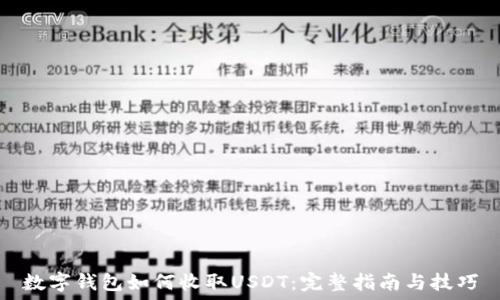   
数字钱包如何收取USDT：完整指南与技巧