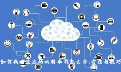 如何找回遗忘的比特币钱包文件：方法与技巧